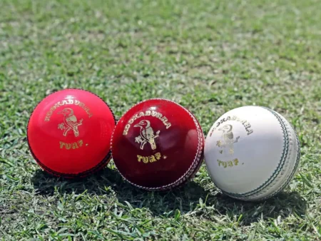 How Cricket Ball Is Made