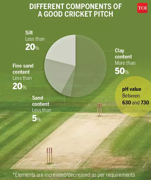 cricket pitch essentials