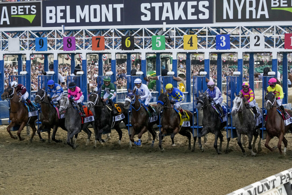 The field breaks from the starting gate in the 155th running of the Belmont Stakes horse race, Saturday, June 10, 2023, at Belmont Park in Elmont, N.Y. (AP Photo/Seth Wenig)